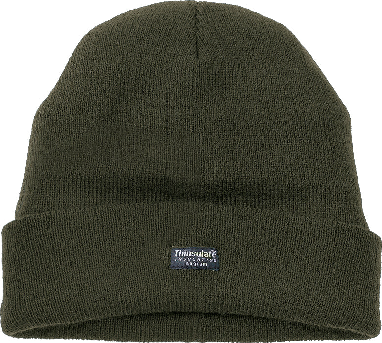 Thinsulate Knitted Hat - 401 (One Size)